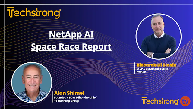 Breaking Barriers to AI: Insights fro...