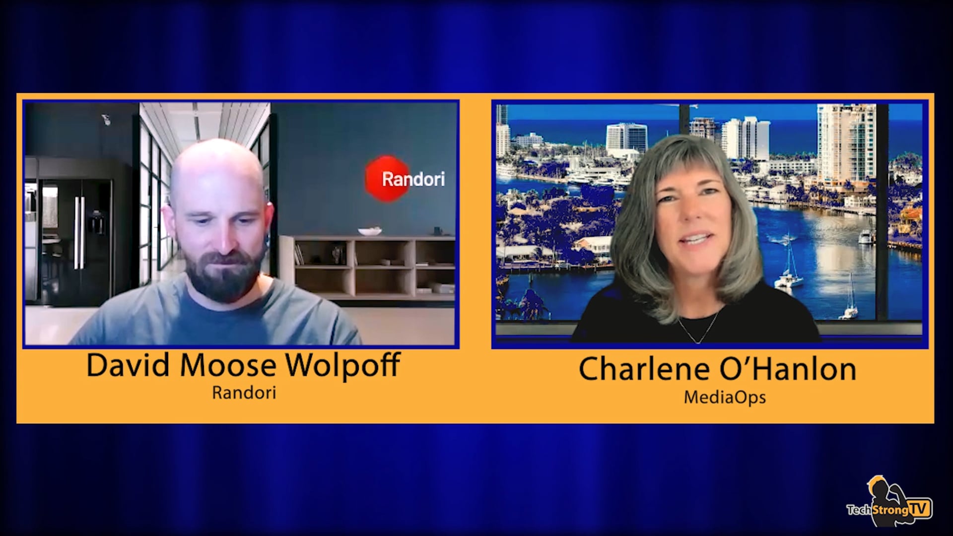 Ransomware Combat - David Moose Wolpoff, Randori