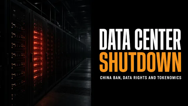 China Data Center Ban, Digital Self-D...