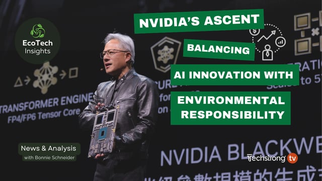 NVIDIA: Success & Sustainability