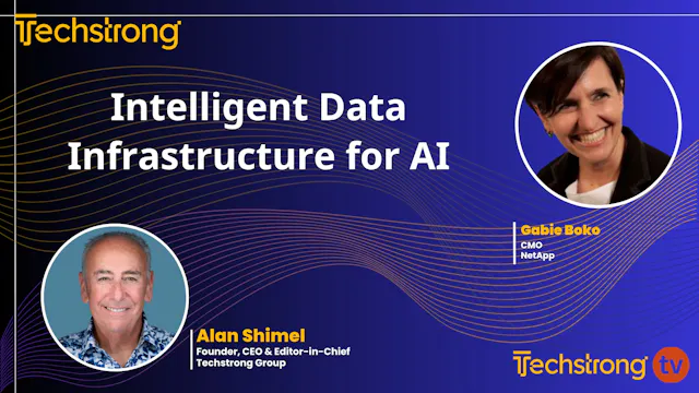 Intelligent Data Infrastructure for AI