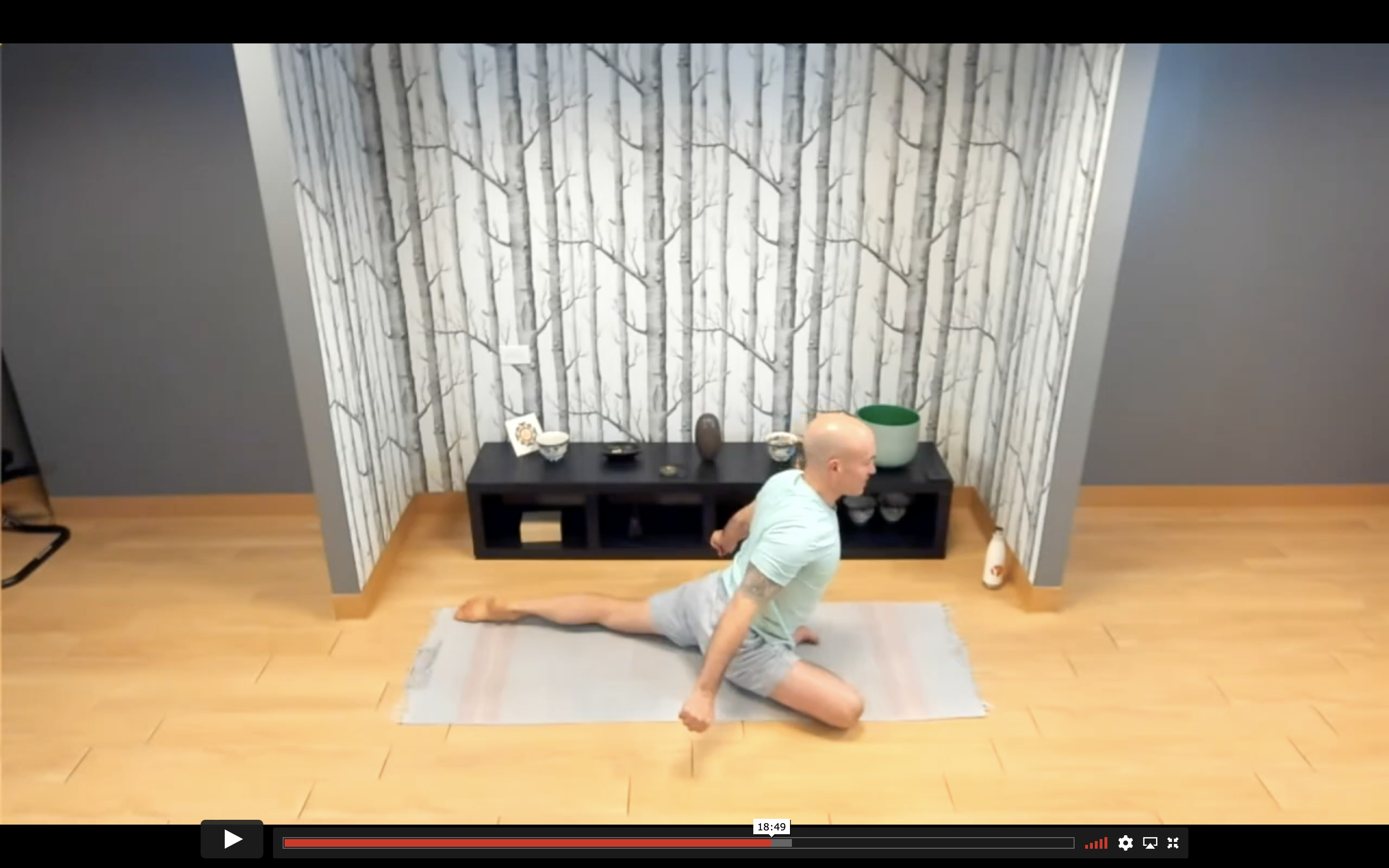 Building a Stronger Pigeon