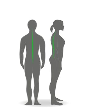 Healthy Standing Posture