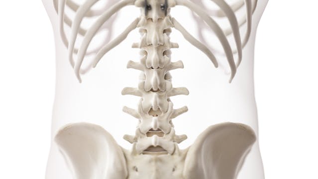 Telehealth Physical Therapy for Back Pain