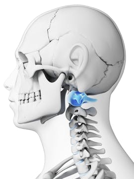 Telehealth PT for Upper Cervical Instability