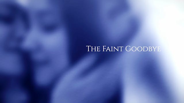 The Faint Goodbye 