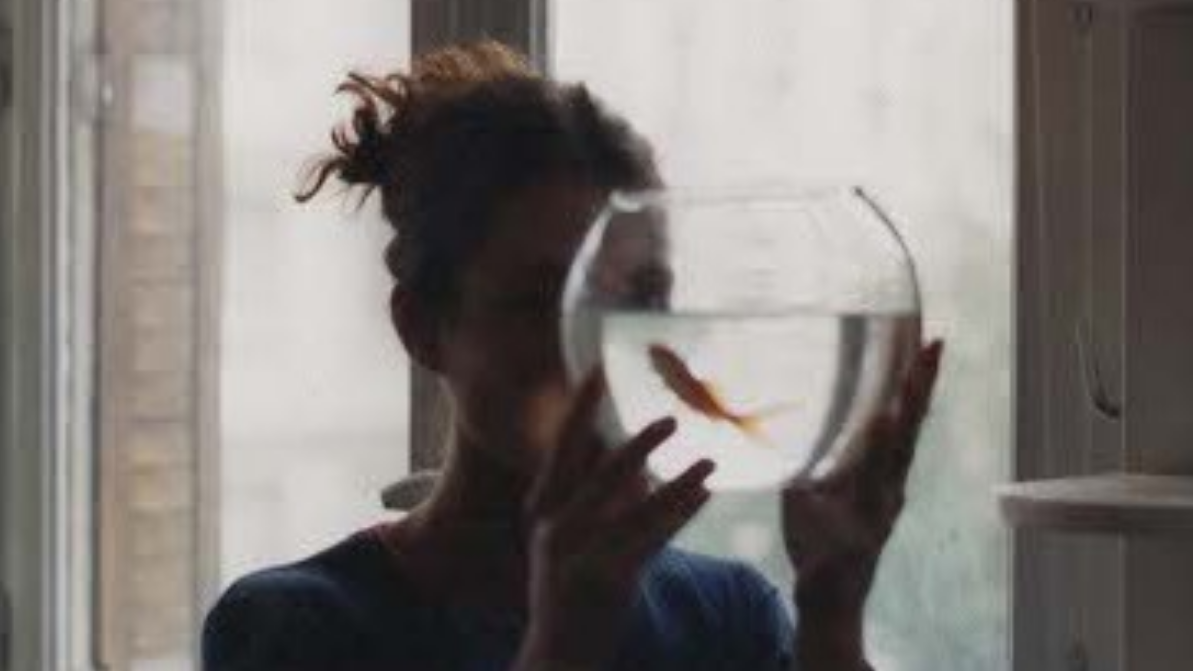 Ô Trouble (Troubled Waters): Trailer