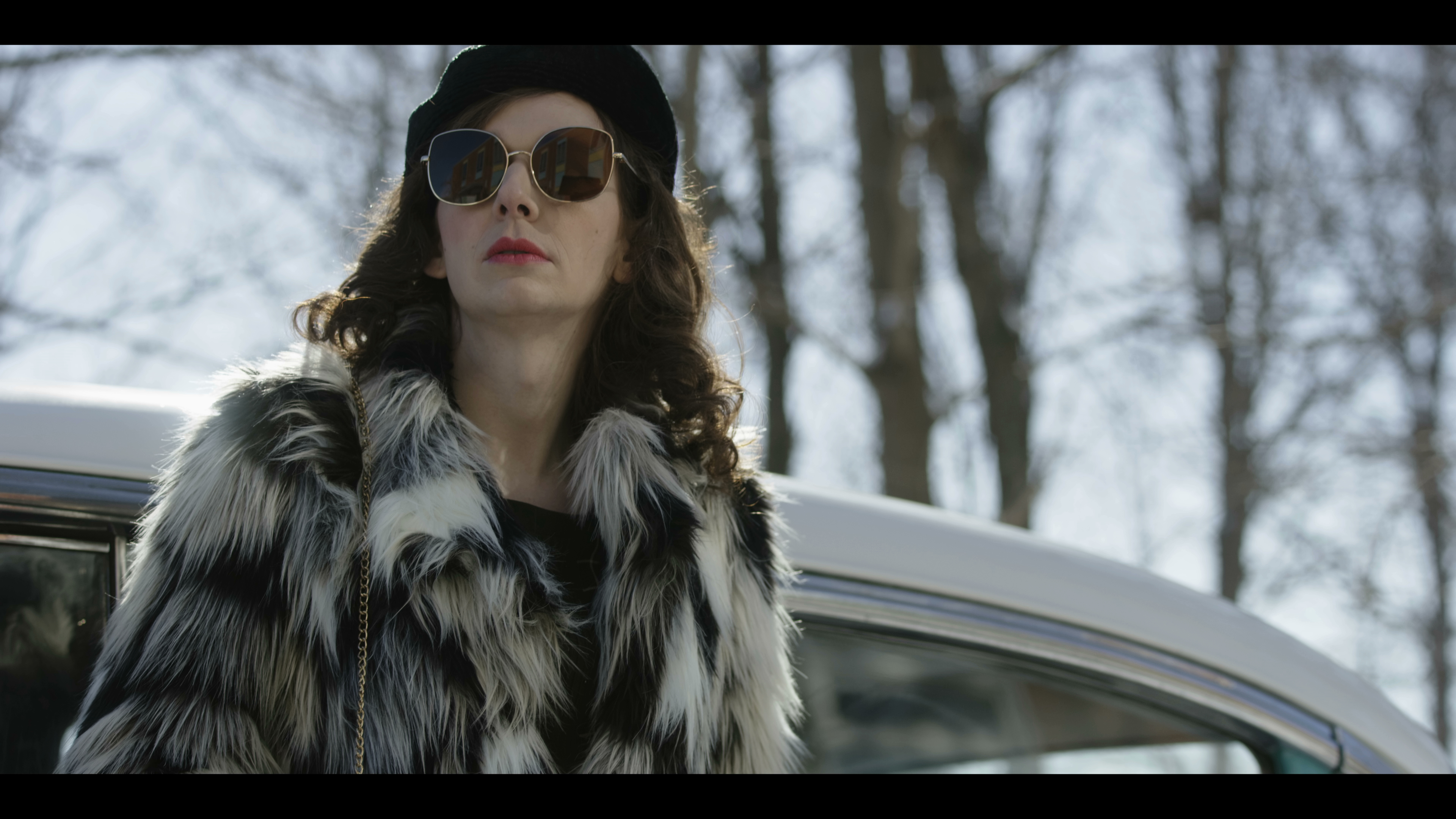 A Brief History of the Unicorn