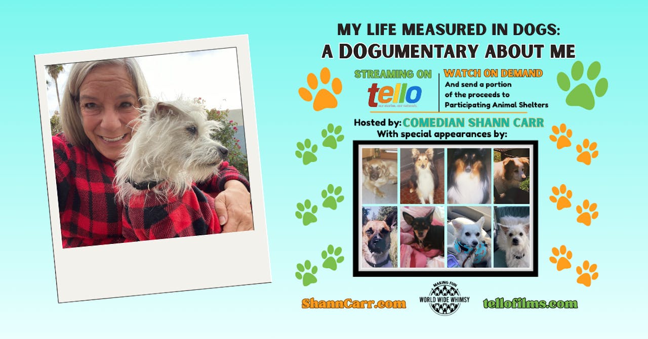 My Life Measured in Dogs: A DOGumentary About Me