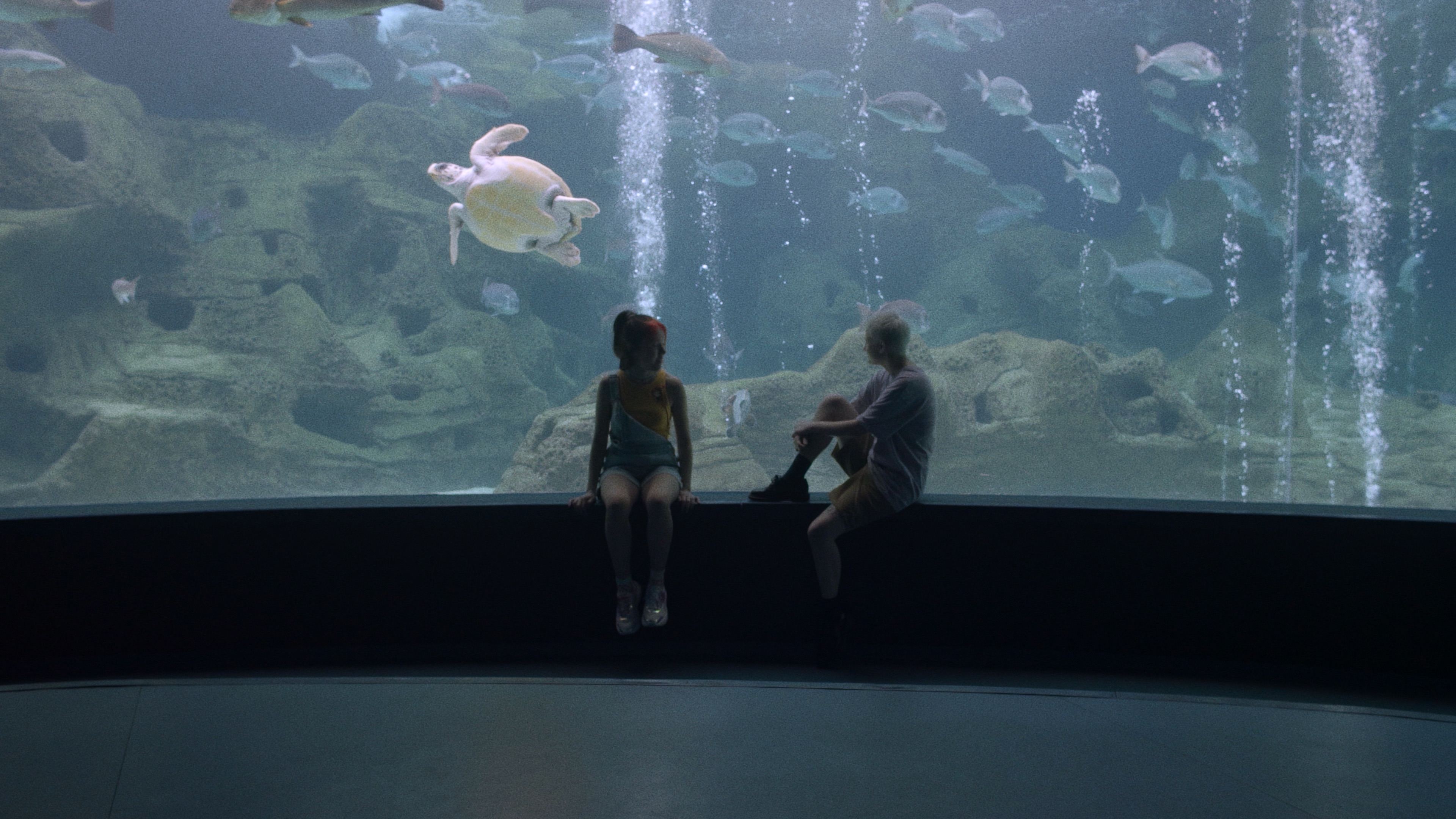 Enomena (English Subtitles)