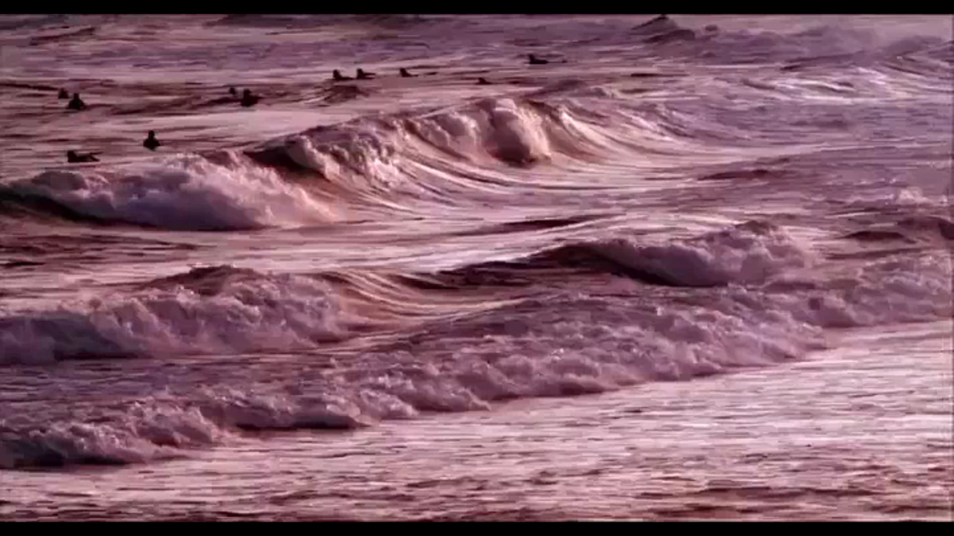 Hayes TV Player Video