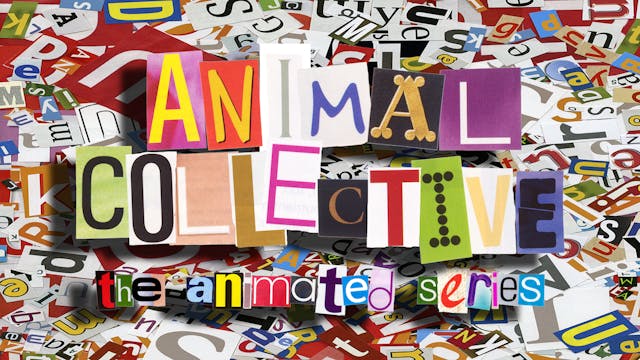 Animal Collective: The Animated Series