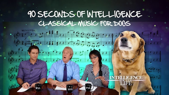 90 Seconds: Classical Music For Dogs