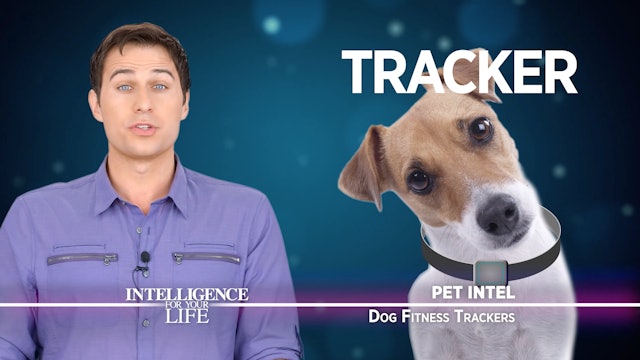 Dog Fitness Trackers