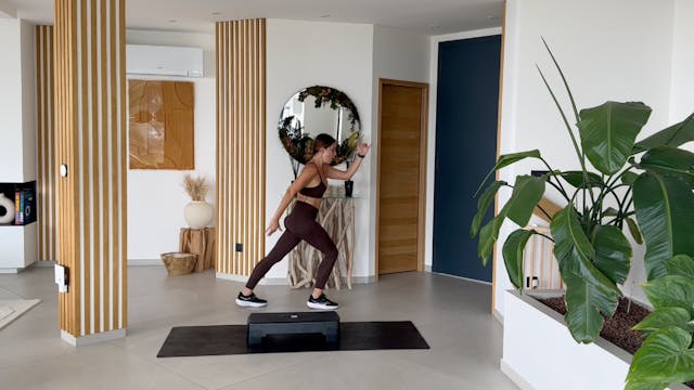 Step Cardio 1