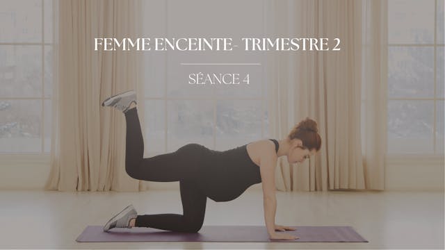 Trimestre 2 - Séance 4