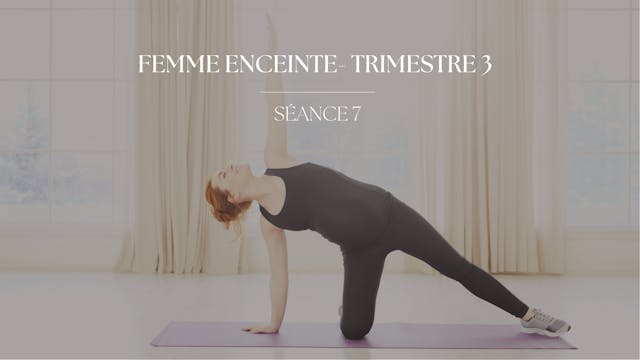 Trimestre 3 - Séance 7