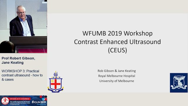 Workshop: Practical contrast ultrasou...