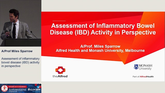 Assessment of inflammatory bowel disease (IBD) activity in perspective