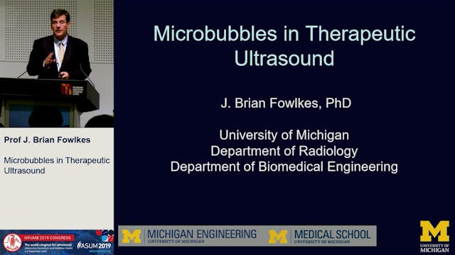 Microbubbles in therapeutic ultrasound