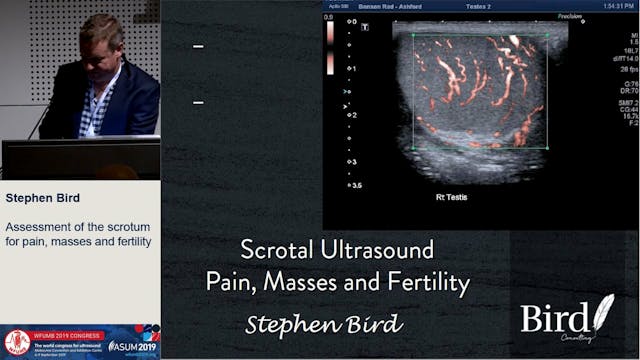 Assessment of the scrotum for pain, m...