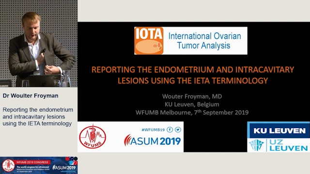 Reporting the endometrium and intracavitary lesions using the IETA terminology