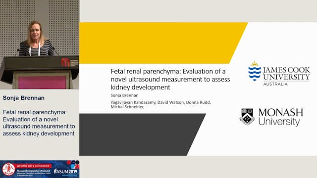 Fetal renal parenchyma: a novel measu...