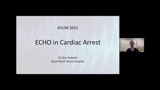 Echo in Cardiac Arrest