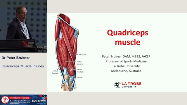 Quadriceps Muscle Injuries
