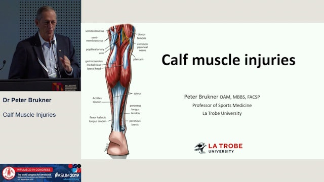 Calf Muscle Injuries
