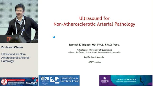 Ultrasound for non-atherosclerotic ar...