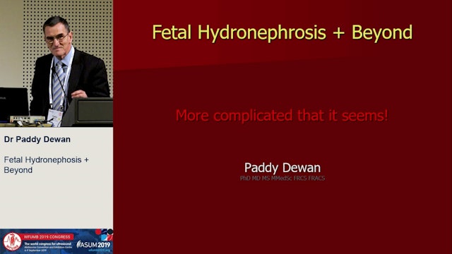 Fetal and neonatal US ñ what does the clinician need to know?