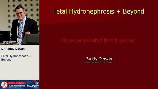 Fetal and neonatal US - what does the...