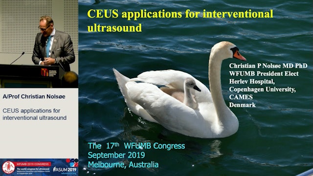 CEUS applications for interventional ultrasound