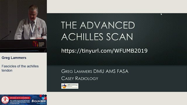 Fascicles of the achilles tendon