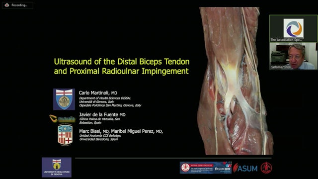Ultrasound of the Distal Biceps Tendon and Proximal Radioulnar Impingement
