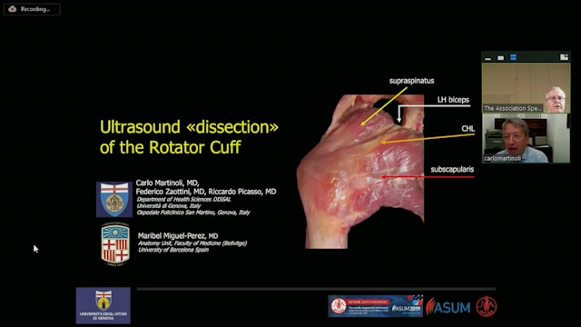 Ultrasound dissection of the rotator cuff