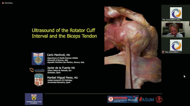 Ultrasound of the rotator cuff interval and biceps tendon