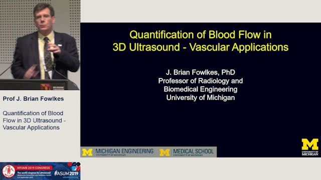 Qualification of blood flow in 3D Ult...