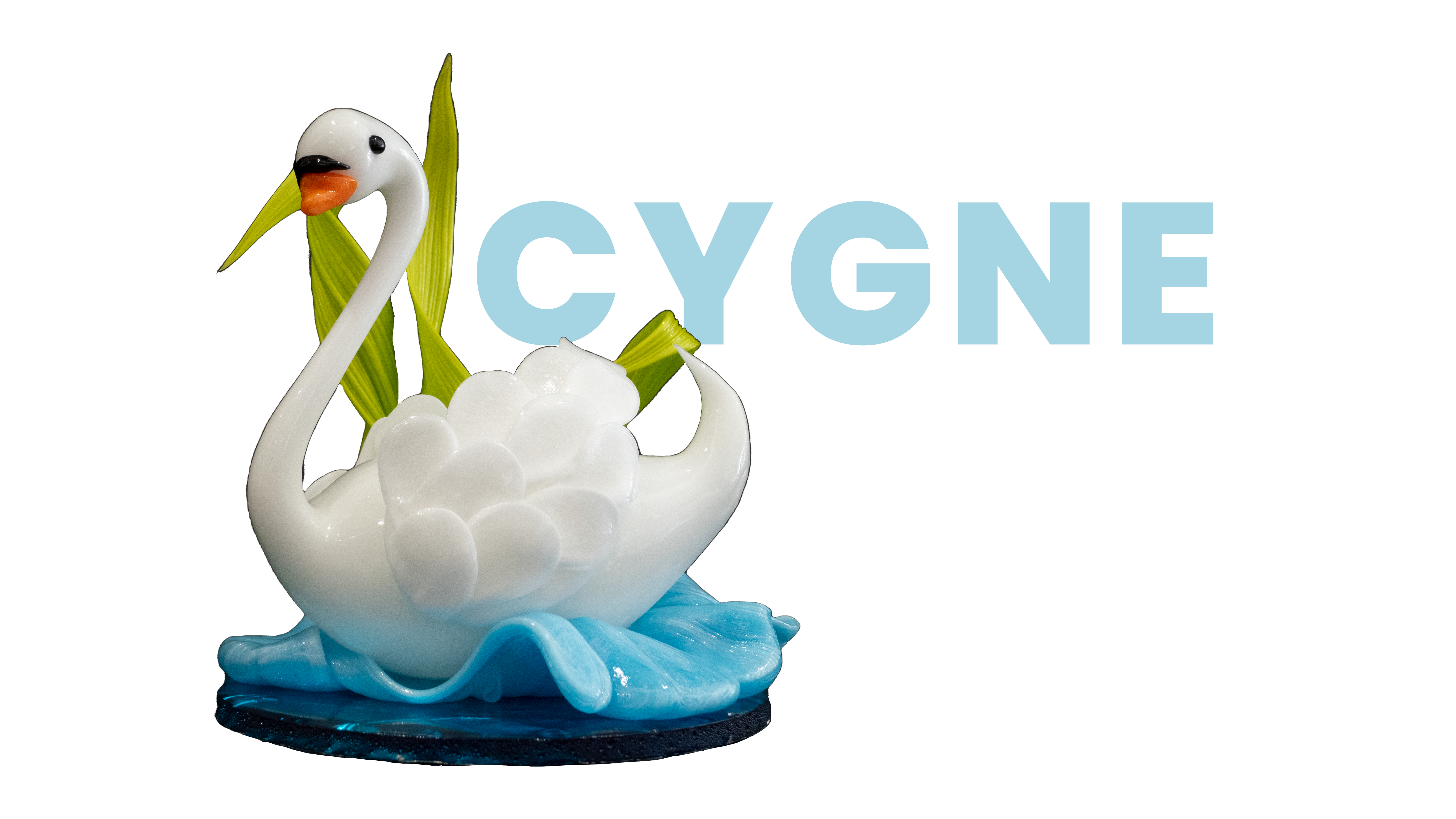 Cygne