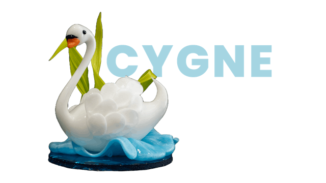 Cygne