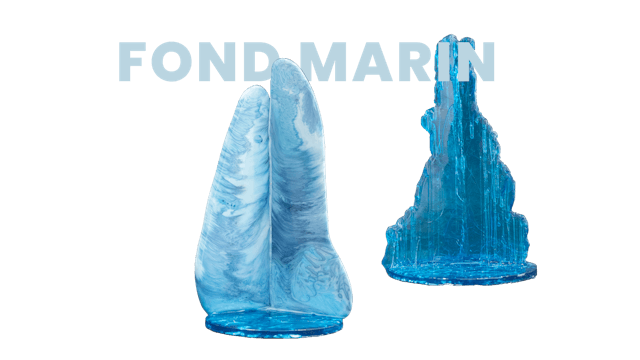 Fond marin