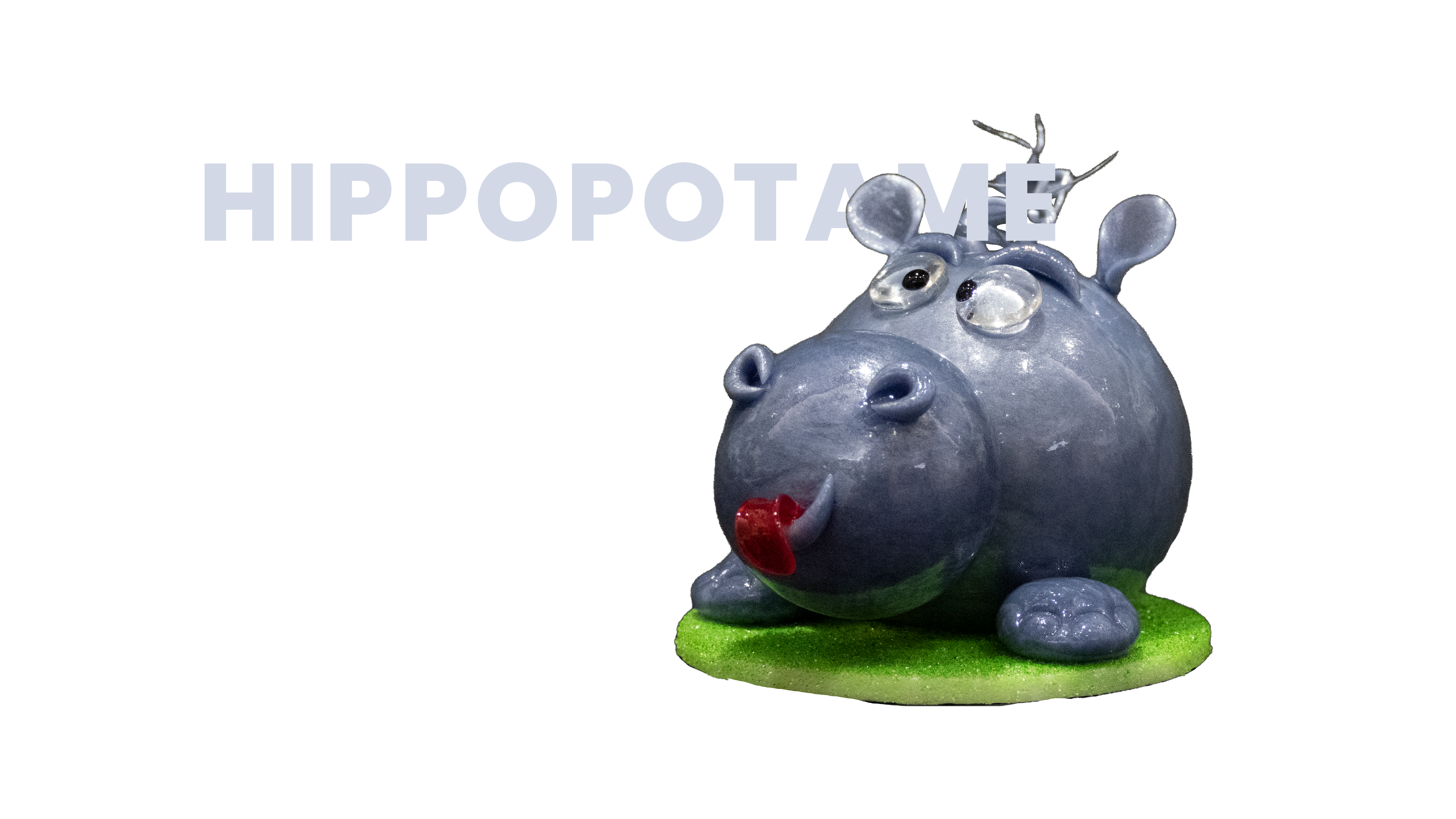 Hippopotame