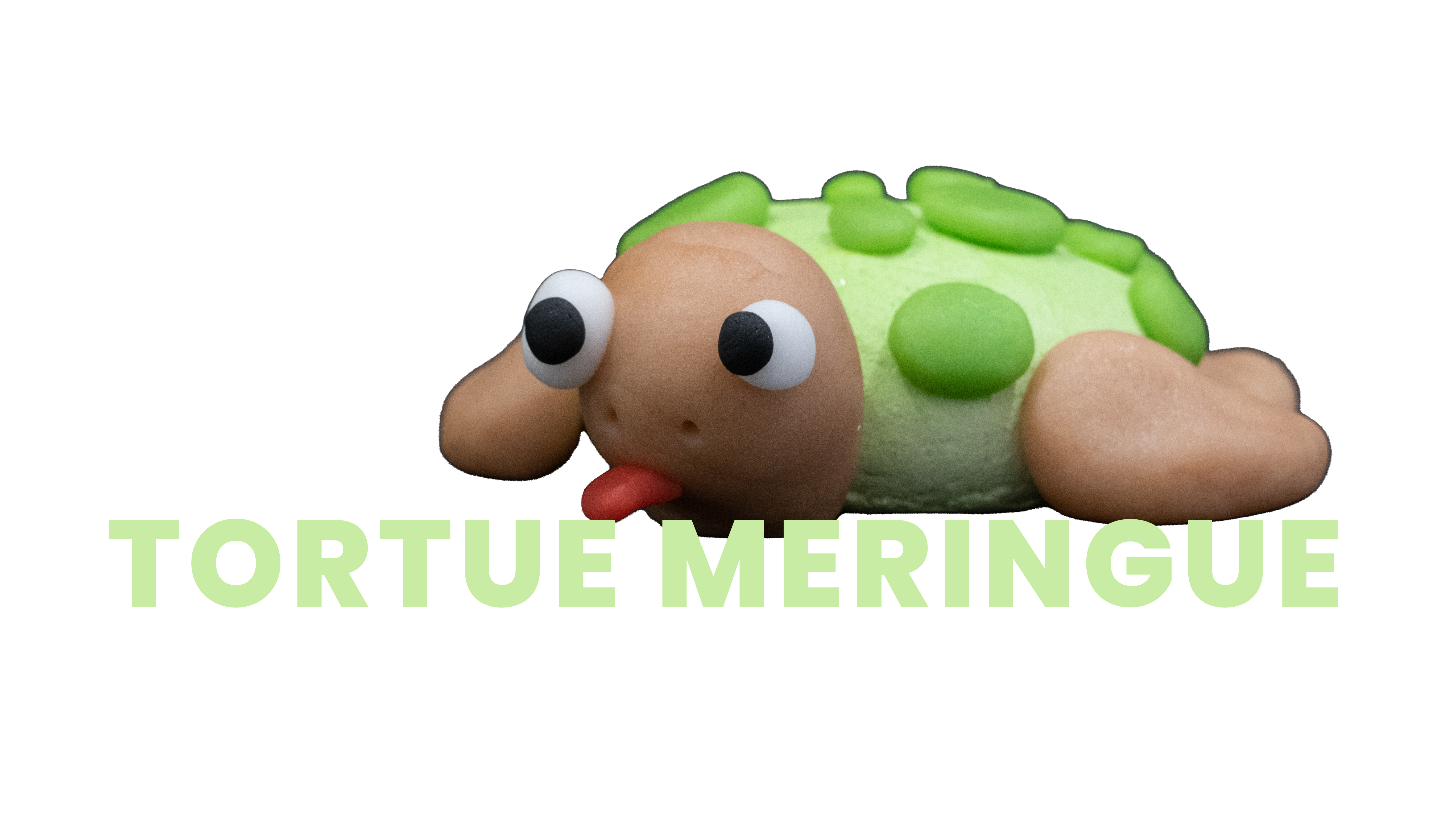 Meringue tortue de mer