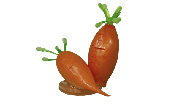Réaliser une carotte
