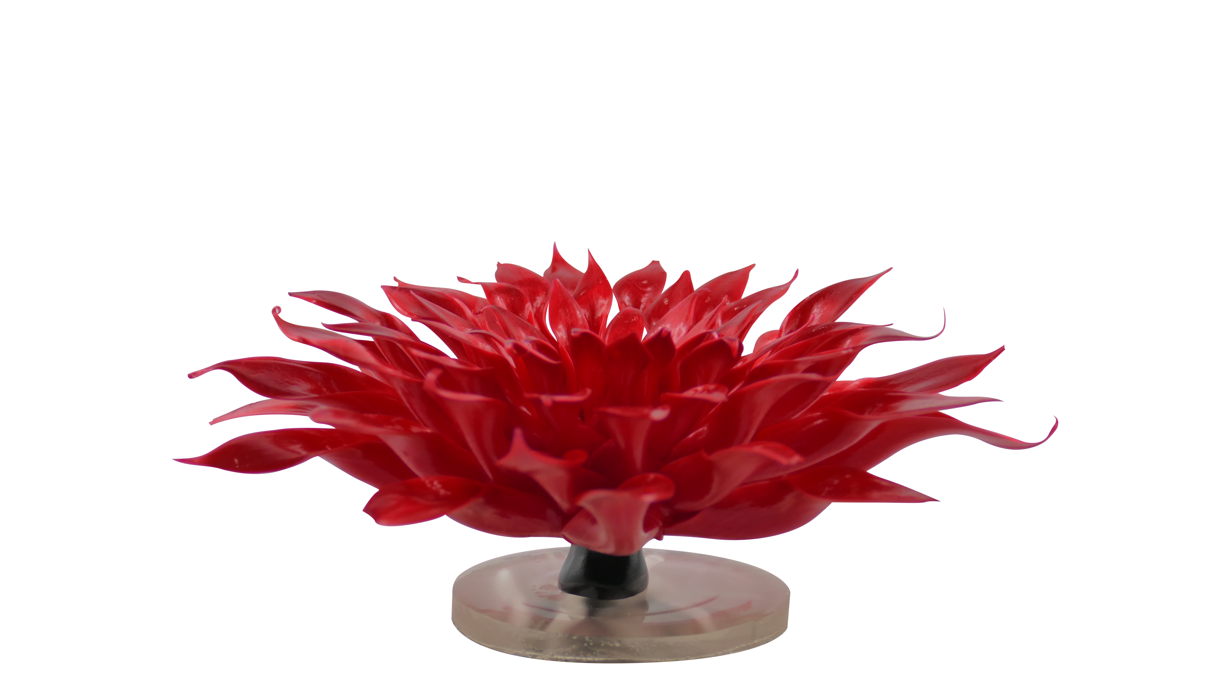 Réaliser une fleur de Noël