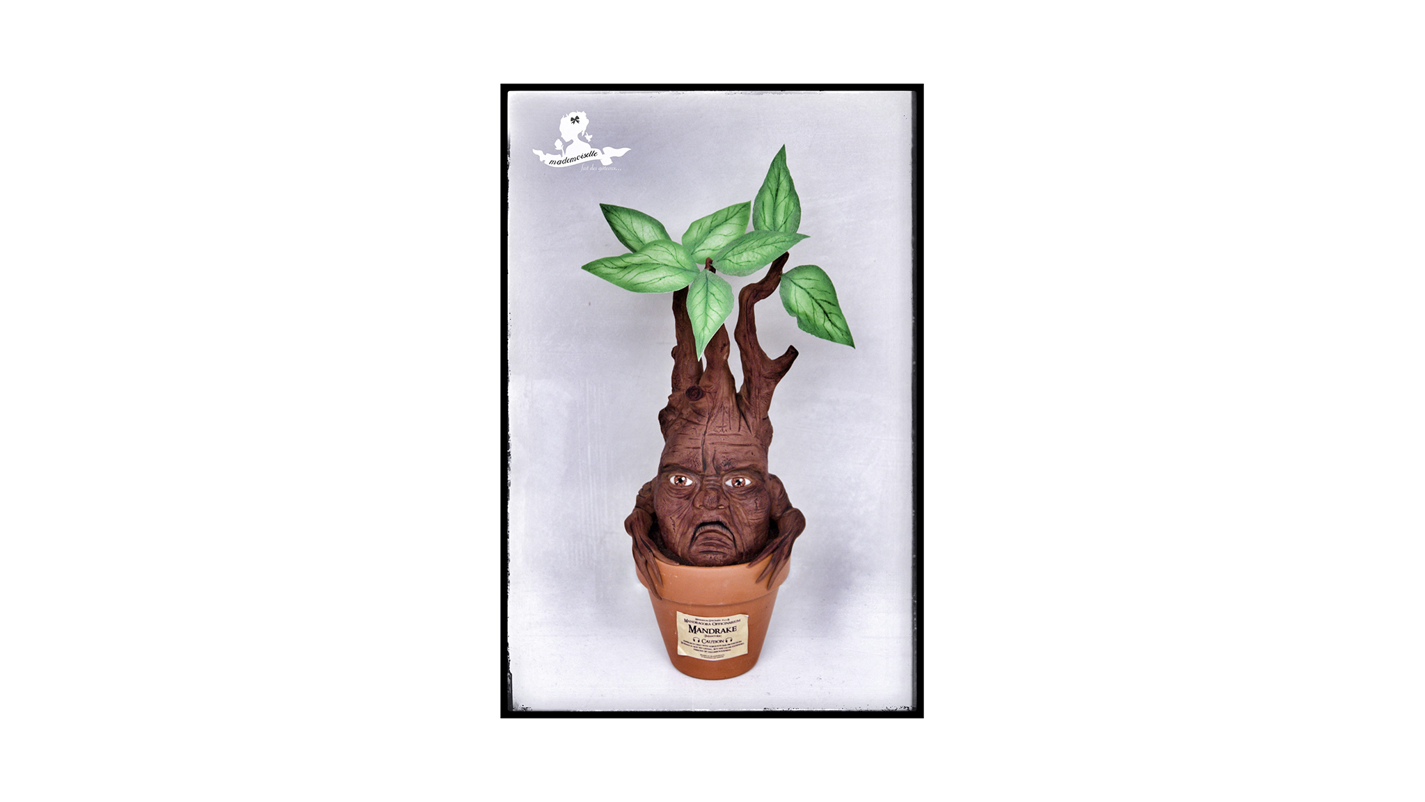 Mandragore || Joane Chopard