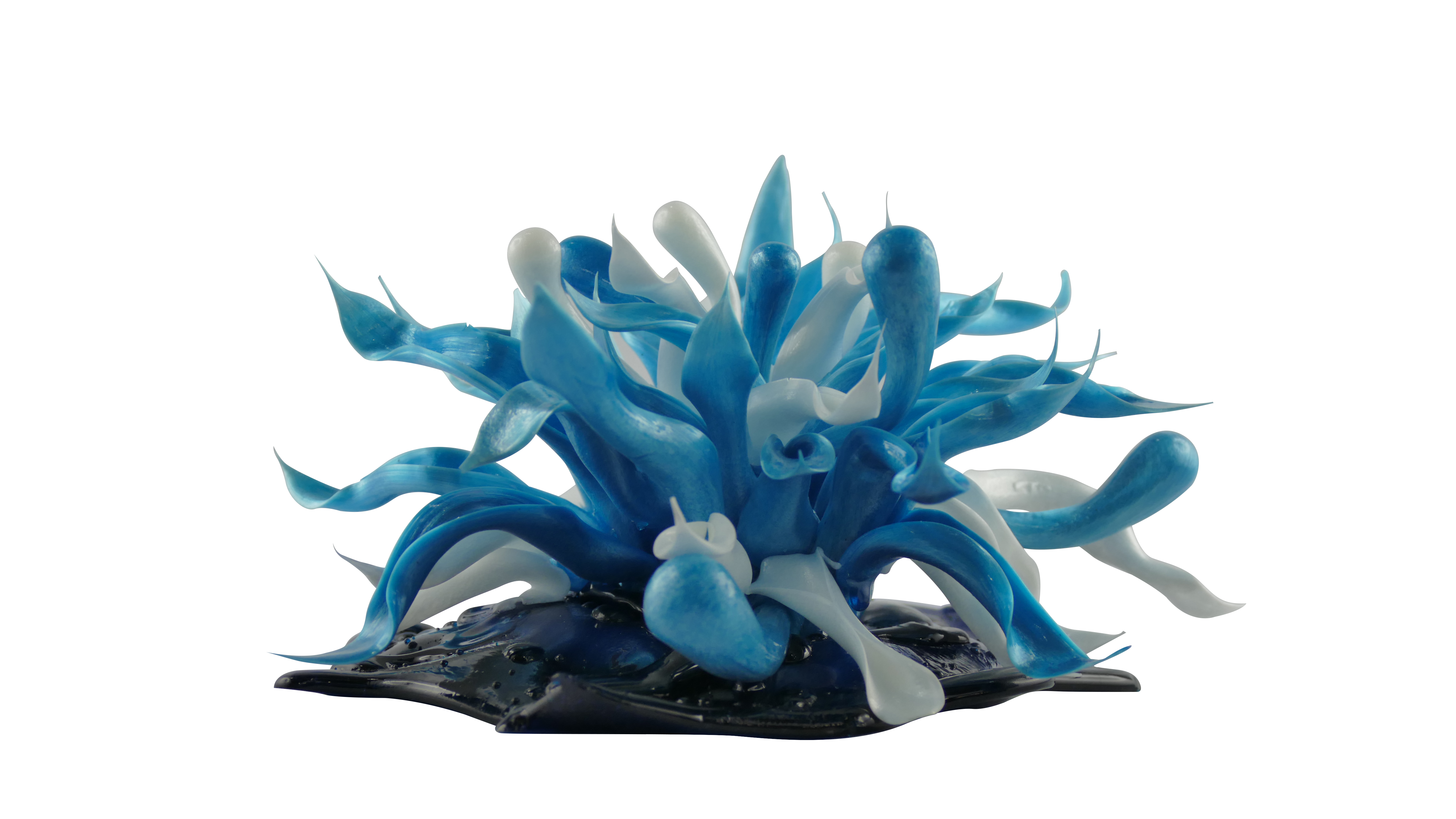 Réaliser une anémone