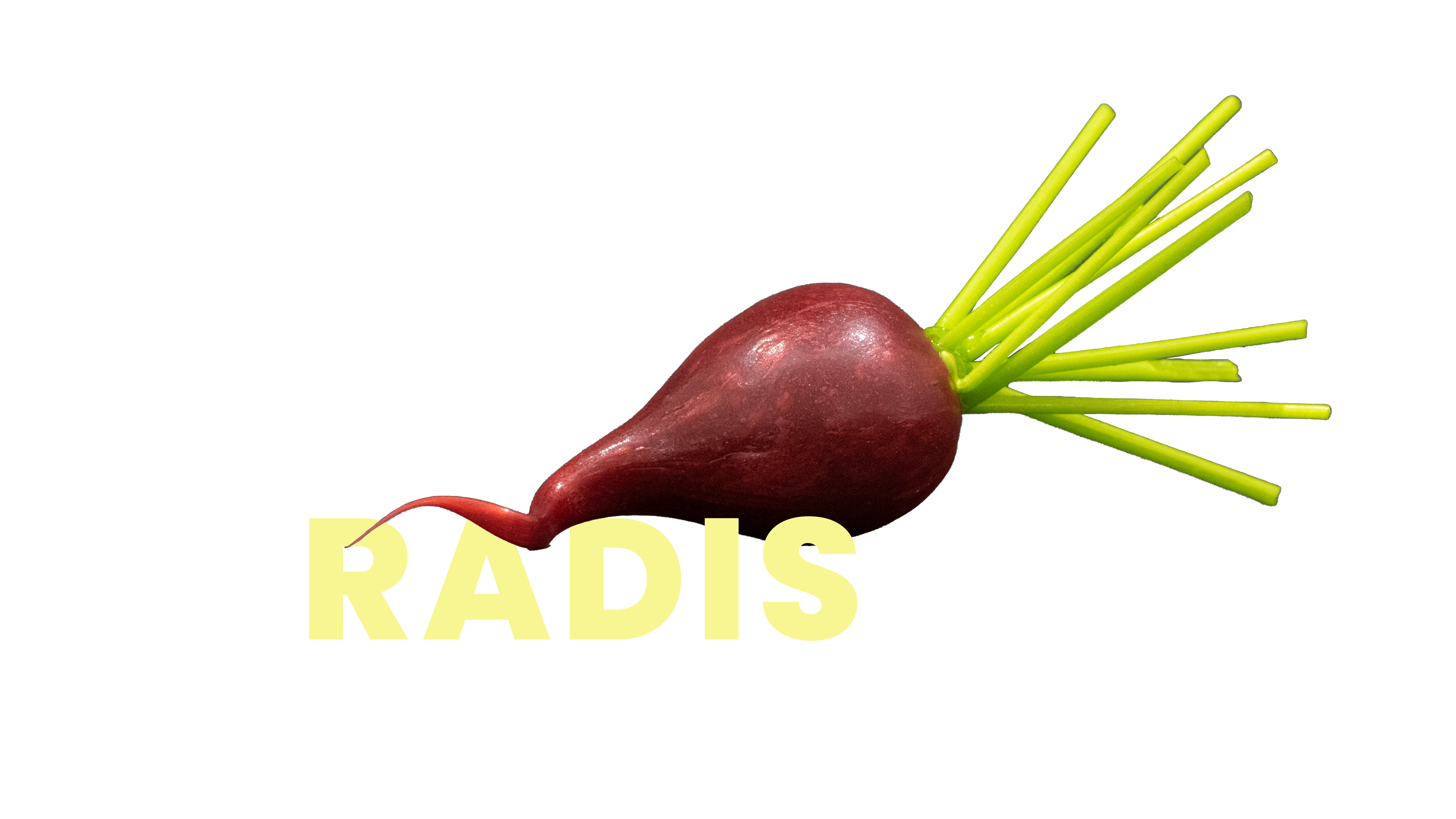 Radis