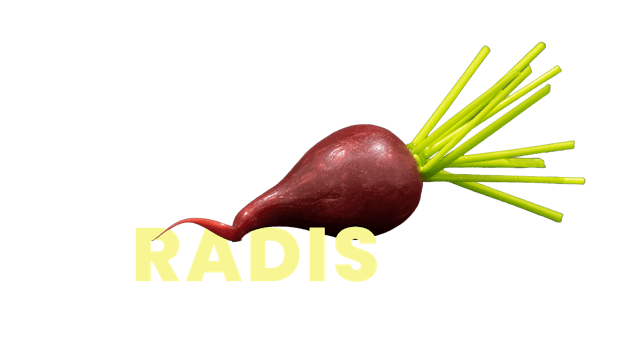 Radis